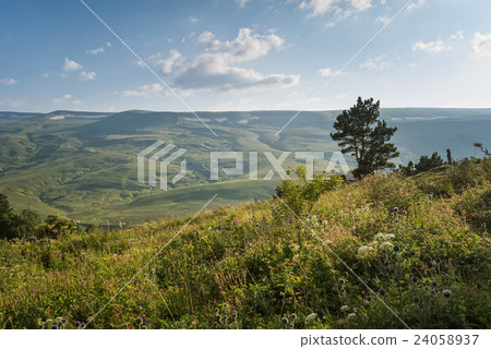 Scenic view of mountain meadow Scenic view of mountain meadow 24058937