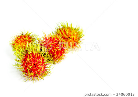 Fresh rambutan sweet fruit on white background Fresh rambutan sweet fruit on white background 24060012