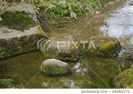 Mossed踏腳石 24060272