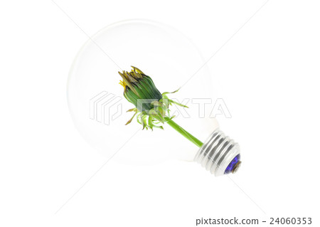 Light bulb and bud 24060353