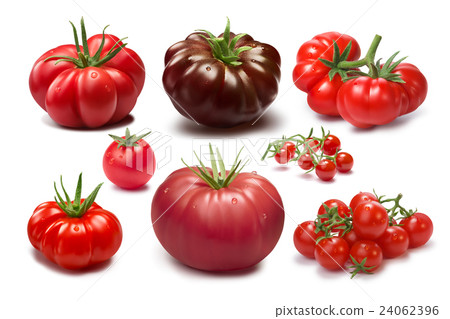 Set of different tomato varieties Set of different tomato varieties 24062396