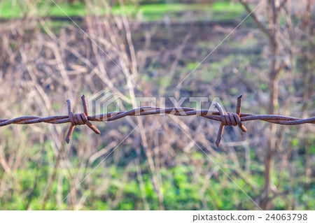 Old barbed wires Old barbed wires 24063798