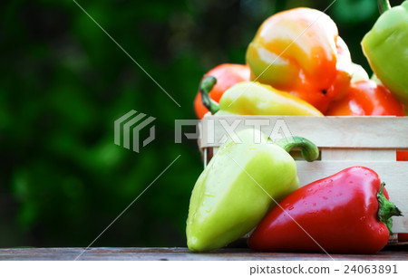 Sweet colorful bell peppers on rustic background Sweet colorful bell peppers on rustic background 24063891