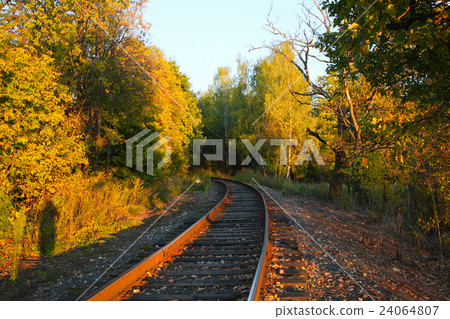 rails in the woods rails in the woods 24064807