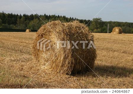 haystack on the field haystack on the field 24064867