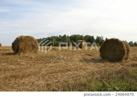 haystack on the field haystack on the field 24064870