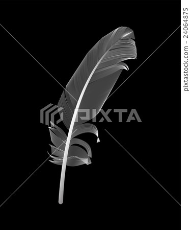 White Bird Feather Drawn in Black Background - Stock Illustration ...