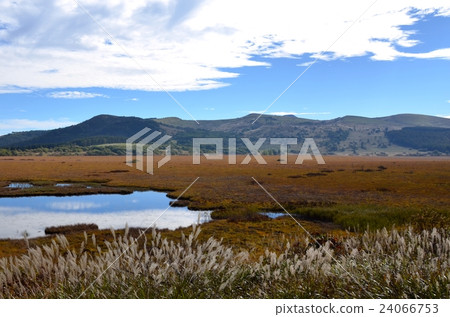 Yaoshima Mogara在秋天 Yaoshima Mogara在秋天 24066753