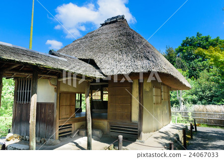 Kodaiji Umletei Tatei 24067033