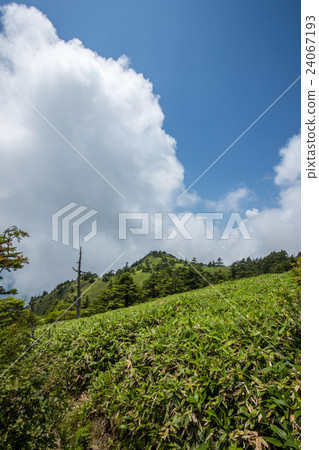 底森林(Kamegamori) 底森林(Kamegamori) 24067193