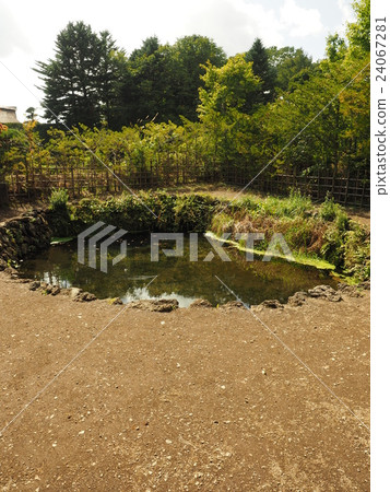 Oshino village of Yamanashi Prefecture Oshino Hakkai · Choshi pond of marriage pond 24067281