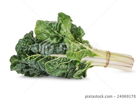 fresh green silverbeet leaves 24069178