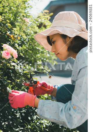 gardening, female, females 24069881