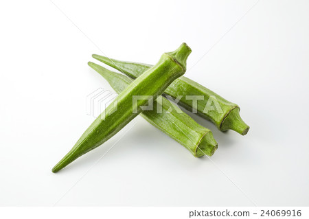 Okra 24069916