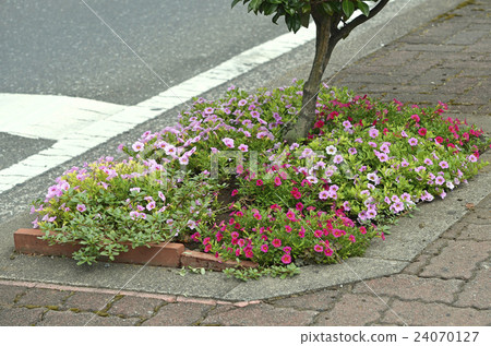 Million bell 24070127