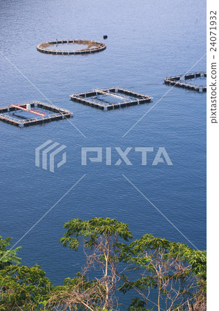 Breeding raft 24071932