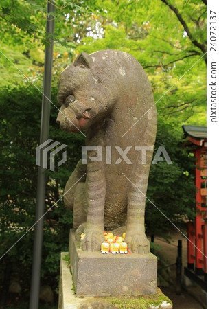 Komajo, Multispisk, Bishamondo, Tranquil tiger Komajo, Multispisk, Bishamondo, Tranquil tiger 24072137
