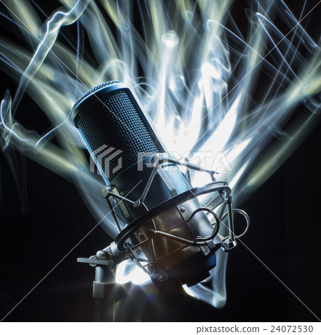 Professional studio microphone. Professional studio microphone. 24072530