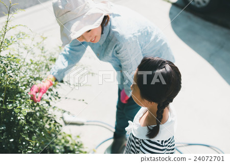 父母和小孩 親子 梣樹 24072701