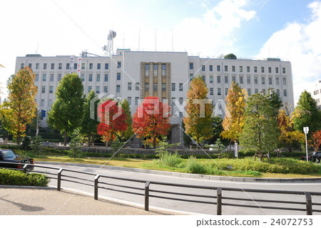 The Osaka Prefectural Government and autumn leaves 24072753