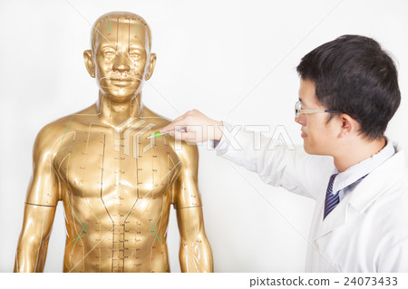 chinese medicine doctor teaches on human model chinese medicine doctor teaches on human model 24073433