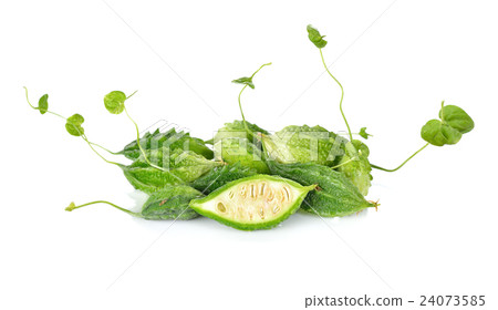 mini whole fresh bitter gourd with stem on white mini whole fresh bitter gourd with stem on white 24073585