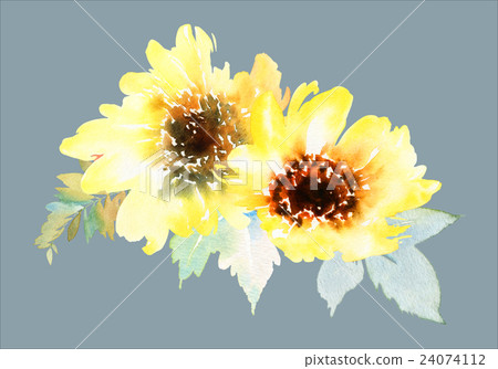 Watercolor sunflowers 24074112