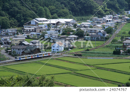 Separate summer 24074767