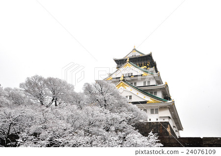 Osaka Castle under Snow with white background 24076109