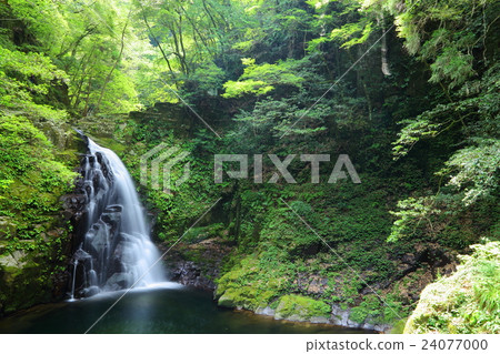 Red-eye Shimattaki Fudo Falls (Mie) 24077000