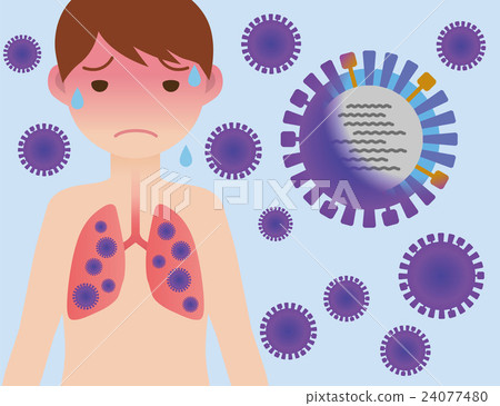 流感病毒圖像圖 流感病毒圖像圖 24077480