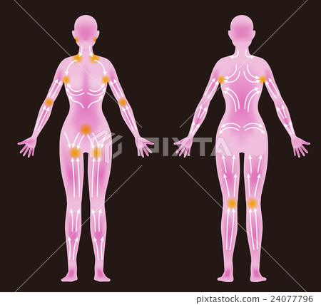 淋巴按摩圖像圖 24077796