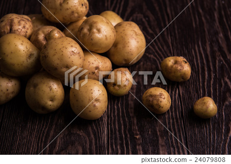 Freshly grown potato Freshly grown potato 24079808