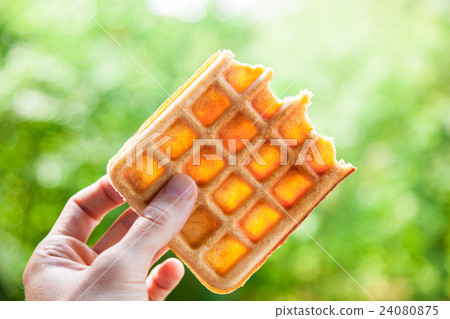 Belgian Waffle 24080875