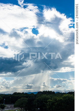 Guerilla heavy rain 24080901