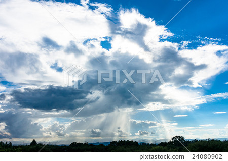 Guerilla heavy rain Guerilla heavy rain 24080902