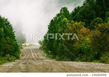 Empty roadway in foggy forest 24080998