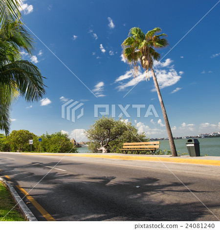 Caribbean street with palms 24081240