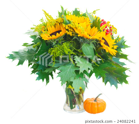 Sunflowers with green leaves Sunflowers with green leaves 24082241