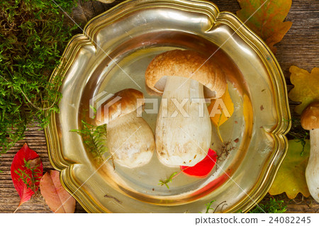 Plate with mushrooms Plate with mushrooms 24082245