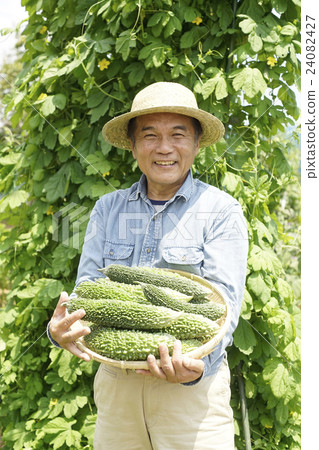 戈雅製片人 24082427