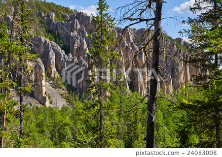 Lena Pillars National Park, view from way to top 24083008