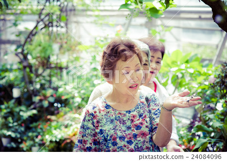 Elderly women and butterflies Elderly women and butterflies 24084096