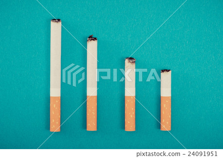 tobacco 24091951