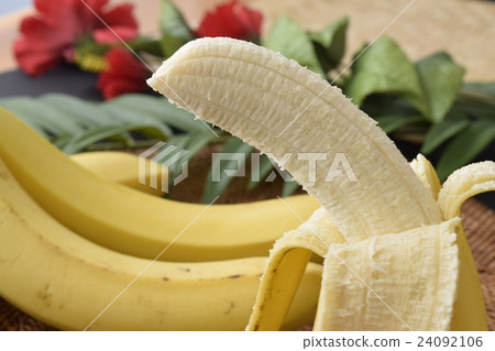 香蕉 24092106