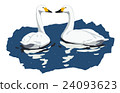 Great swans 24093623