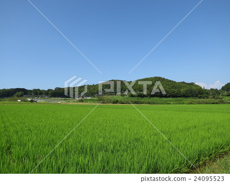 國家景觀 24095523