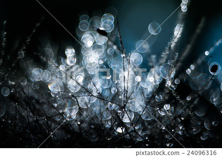 Pentacon AV 80 F 2.8(Trioplan 100 F 2.8)舊鏡頭氣泡模糊 Pentacon AV 80 F 2.8(Trioplan 100 F 2.8)舊鏡頭氣泡模糊 24096316