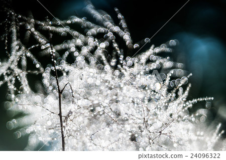 Pentacon AV 80 F 2.8(Trioplan 100 F 2.8)舊鏡頭氣泡模糊 Pentacon AV 80 F 2.8(Trioplan 100 F 2.8)舊鏡頭氣泡模糊 24096322