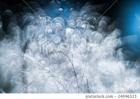 Pentacon AV 80 F 2.8 (Trioplan 100 F 2.8) Old lens bubble blur 24096323